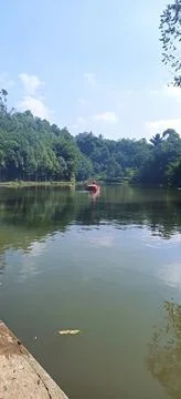 Nature View 스톡 사진