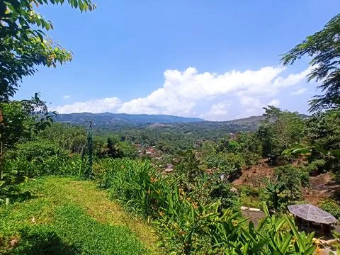 Nature View 스톡 사진