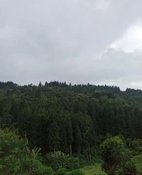 Nature View 스톡 사진