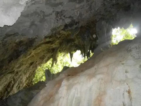 Nature view Stockfoto's