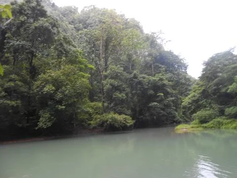 Nature view Stockfoto's