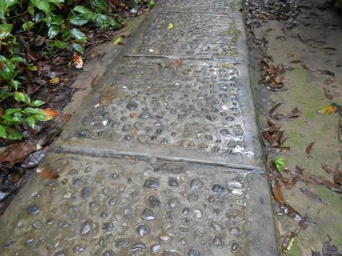 Nature view Stockfoto's