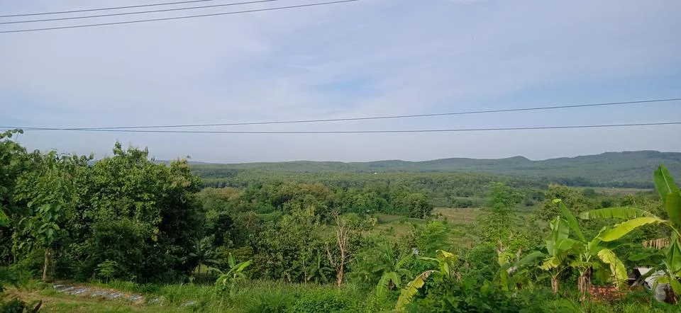 Nature view Foto stock