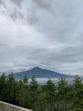 Nature view Foto stock