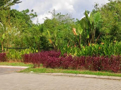 Nature view Stock-Fotos