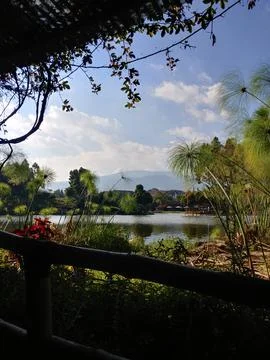 Nature view Fotos de archivo