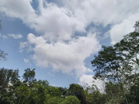 Nature view Stock Photos
