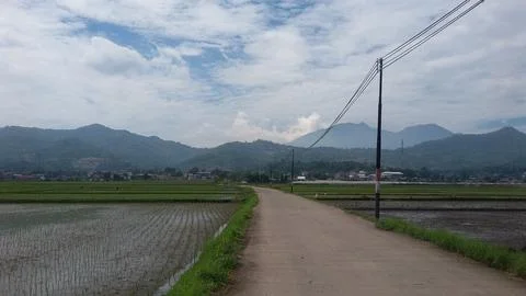 Nature view Stock Photos