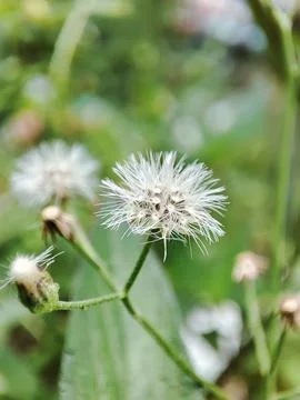 Nature View Stock-Fotos