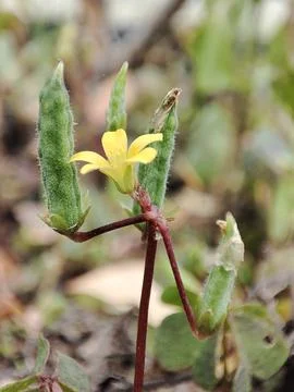 Nature View Stock-Fotos