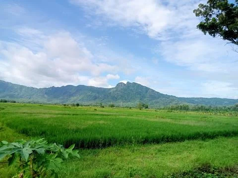Nature view Stock Photos