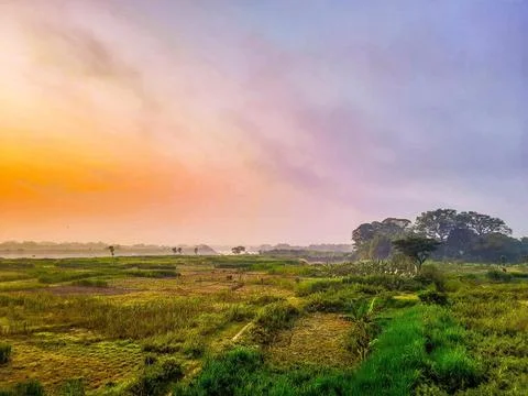 Nature view Foto stock