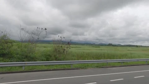 Nature view at the road Stock Footage 203967439