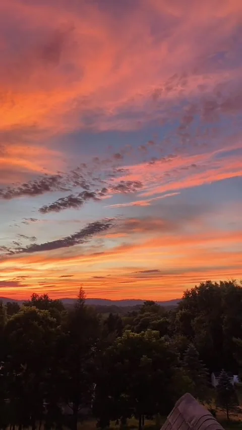 Nature view sunset 動画素材 243662973