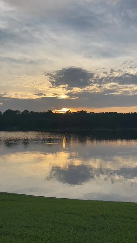 Nature view by sunset over a Woodlands lake, Houston, Texas Stock Footage 337265341