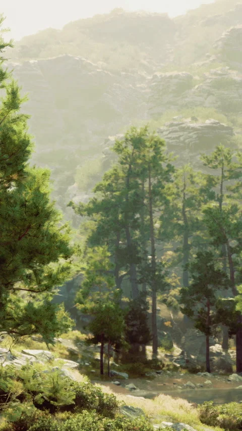 Nature view with trees and rocky landscape in a sunny weather scene Vídeo Stock 334173547