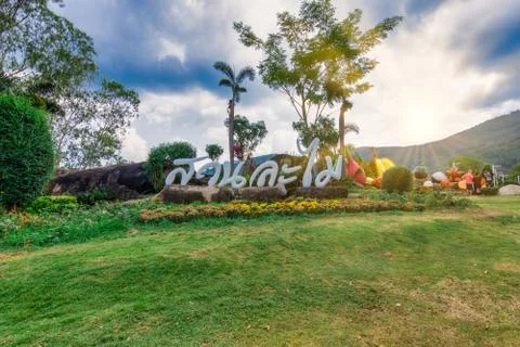 Nature view trees Stock Photos