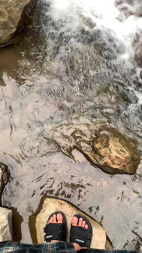 Nature Views Video stock 242751792