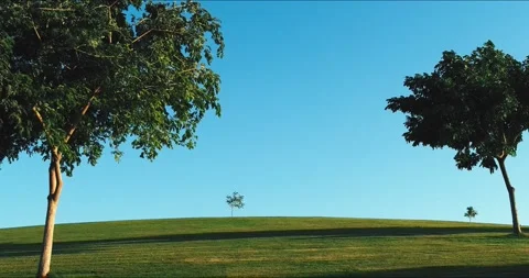 Nature Visuals of Park 스톡 동영상 210551372