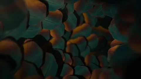 Nature Vortex of Feathers - Seamless Loop Background Stock Footage 306228306