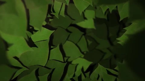 Nature Vortex of Leaves - Looping Background Stock Footage 306229487