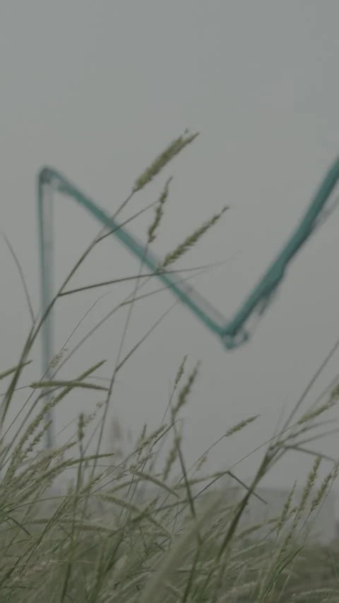 Nature vs Construction in Jeddah Video stock 328153572