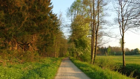 Nature Walk Along a Field Path in Bavaria with Fresh Grass, Tree Canopies, an Stock Footage 309042723