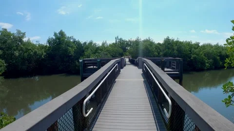 Nature walk in Florida! Stock Footage 153693831