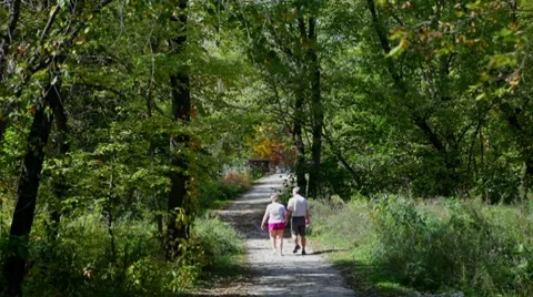 Nature Walk Video stock 8826949