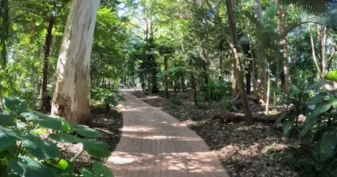 Nature Walk Stock Footage 246290973