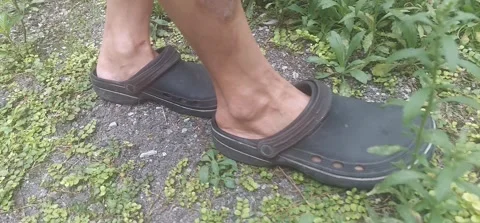 Nature Walk Stock Footage 310173266