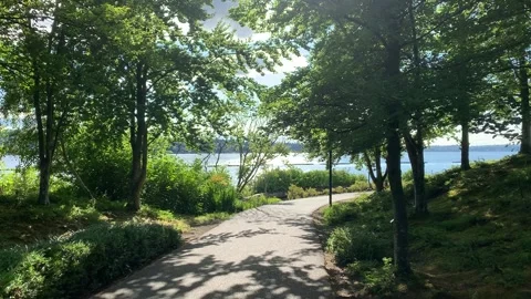 Nature Walk in Washington Vídeos de archivo 134844094