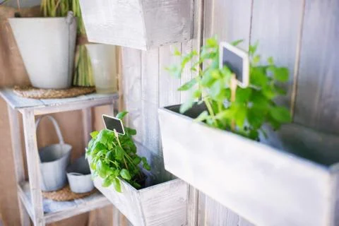 Nature wall Stock Photos