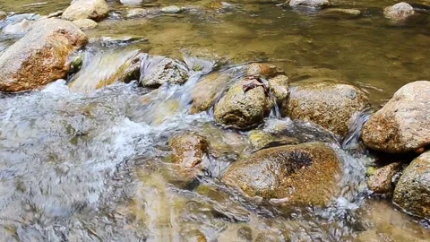 Nature water fall Stock Footage 133352215