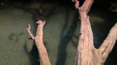 Nature Water Flow Stock Footage 10928666