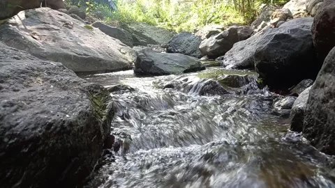 Nature Water Flowing 库存影片 244439657