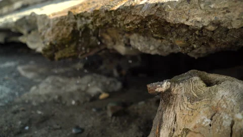 Nature -Water flows down the stone and trips on the sand in the cave in daylight Stock Footage 157976290