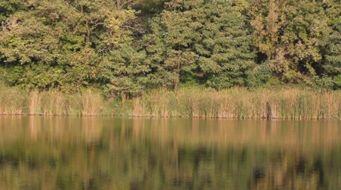 The nature of the water Stock Footage 31738590