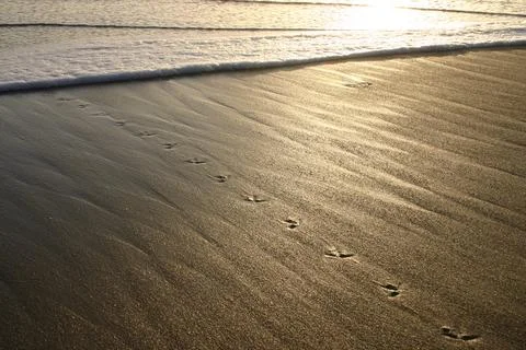 Nature water sunlight reflection beach wave sand foam tide prints trace 스톡 사진