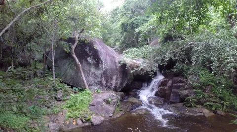 Nature waterfall in deep forest Stock Footage 42186067