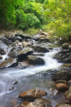 Nature waterfall in deep forest Stock Photos