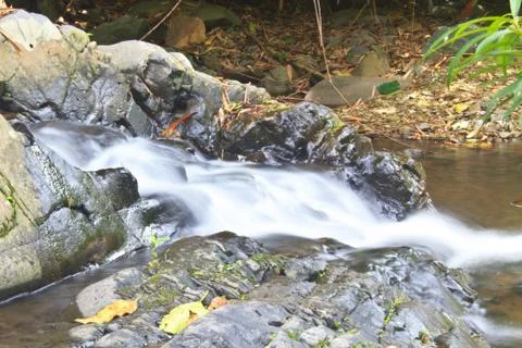 Nature waterfall in deep forest Foto stock