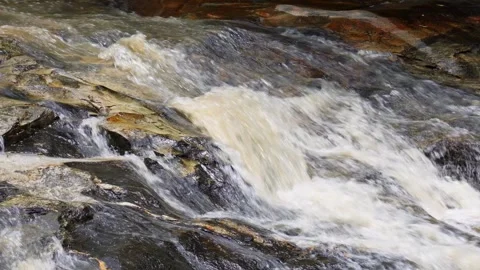 Nature of the waterfall in the forest that flows strongly during rainy season. Stock Footage 313328801
