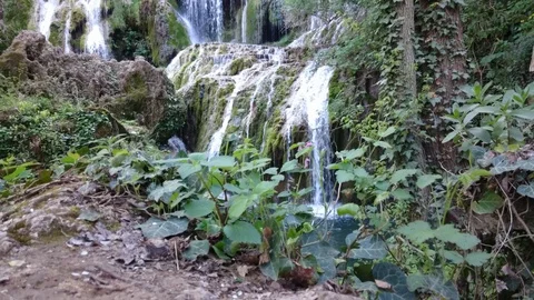 Nature Waterfall in Forest Stock Footage 118668151