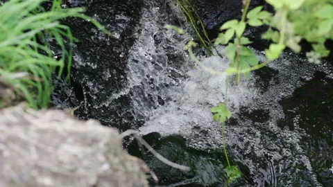 Nature Waterfall Grass Stock Footage 92025085