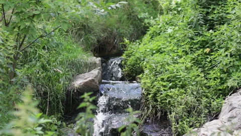 Nature Waterfall Grass Stock Footage 92025253