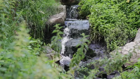 Nature Waterfall Grass Stock Footage 92025308