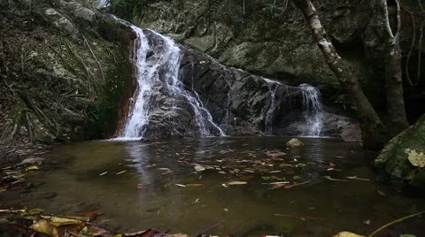 Nature waterfall in the mountain rock inside the forest with pond Stock Footage 67693577