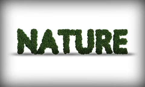 Nature White Backround Text Stock Illustration
