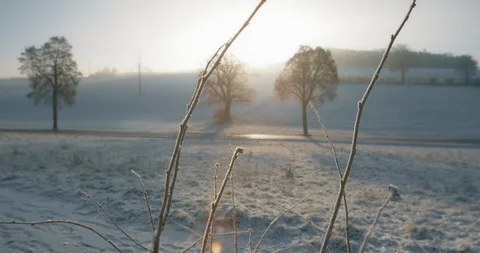 Nature winter 2 Video stock 87575467